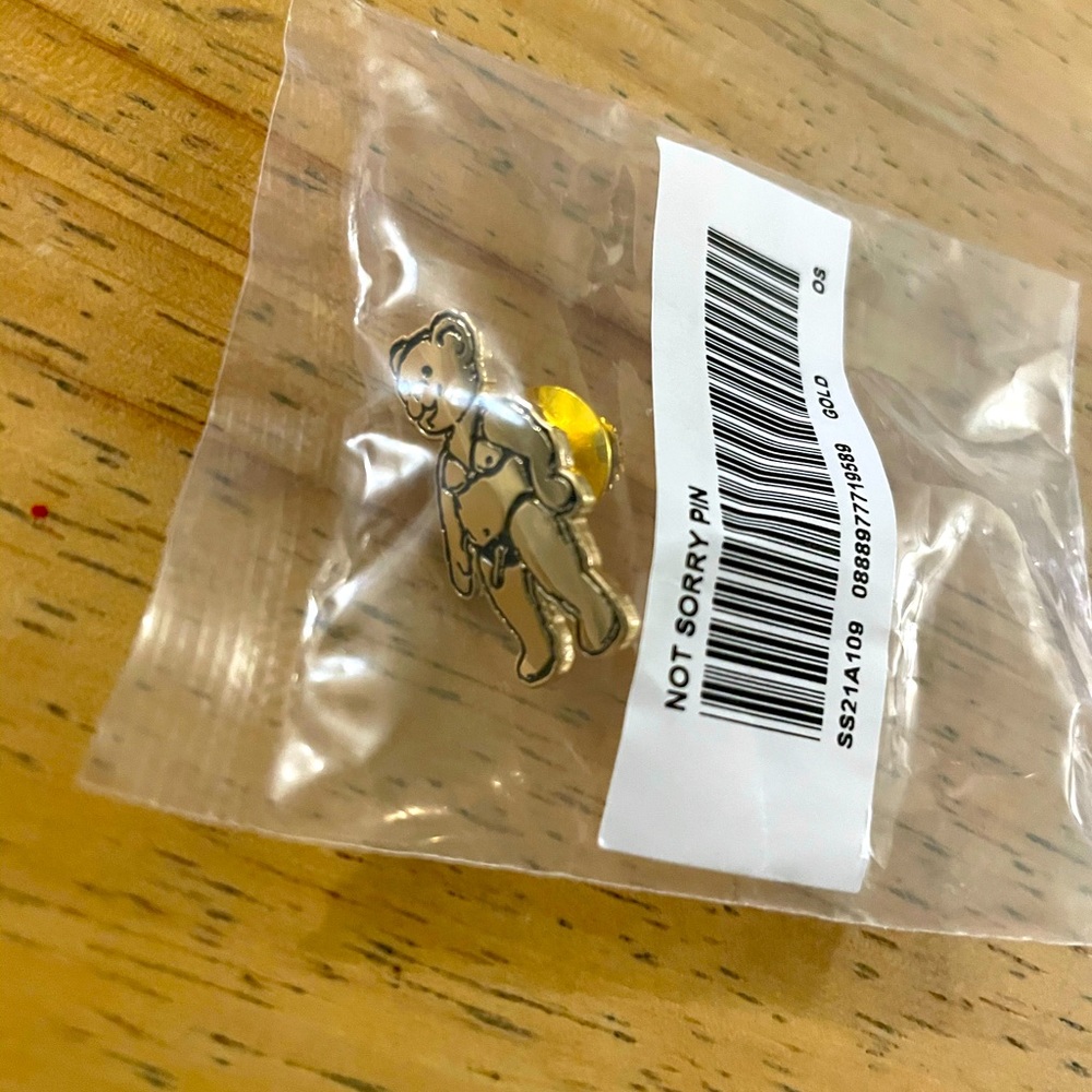 Supreme not sorry pin